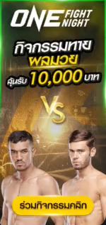 3.3 THIRTY THREE SPECIAL